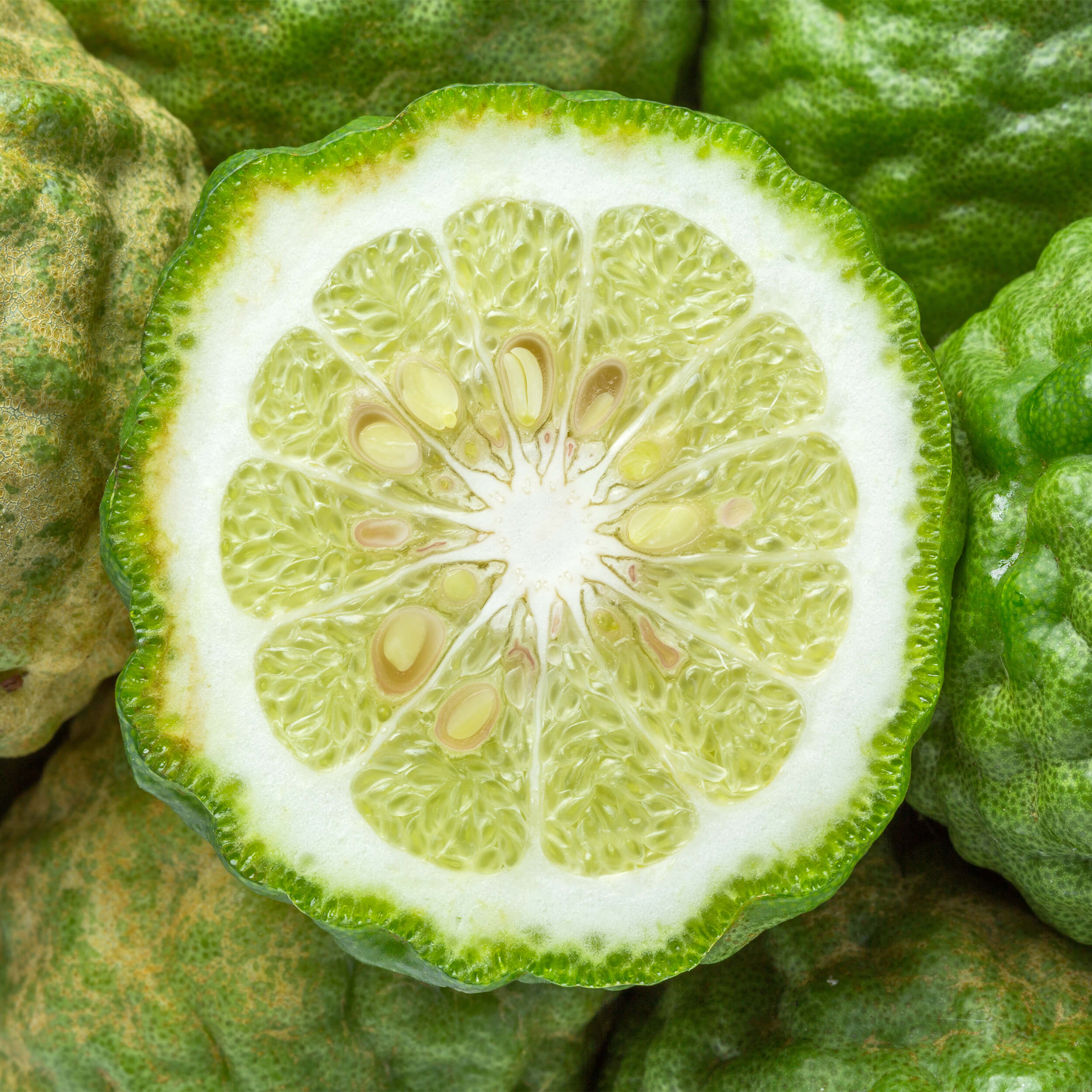bergamot